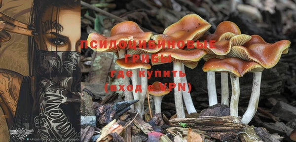 МДПВ Корсаков
