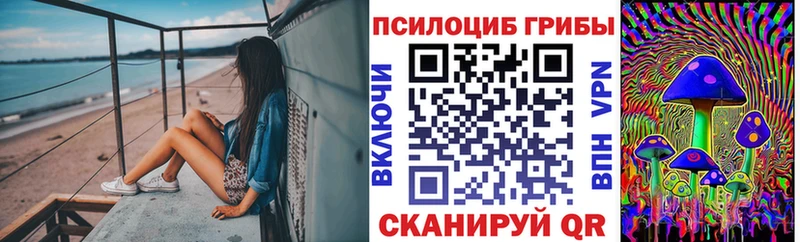 Псилоцибиновые грибы Magic Shrooms  Керчь 