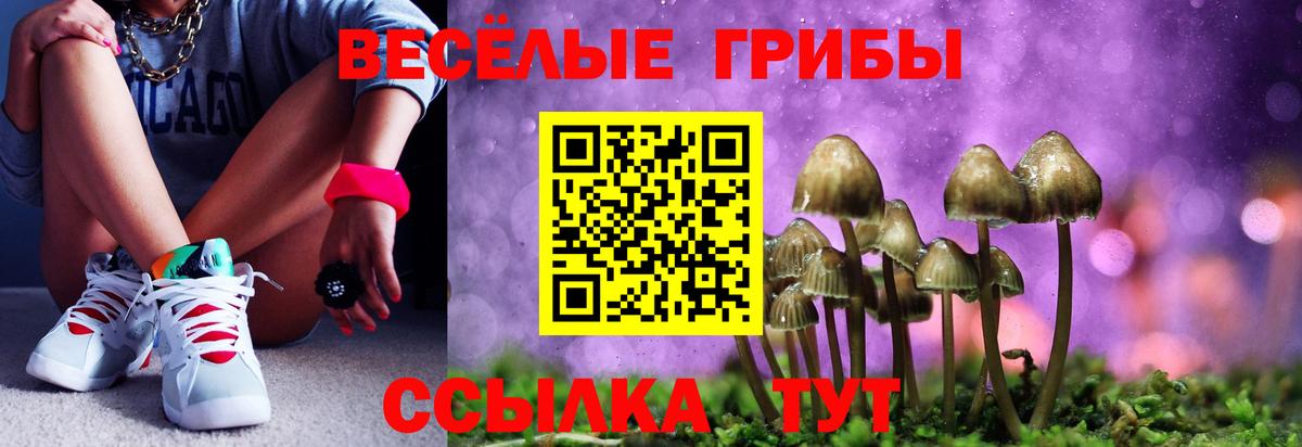 Галлюциногенные грибы Cubensis Керчь